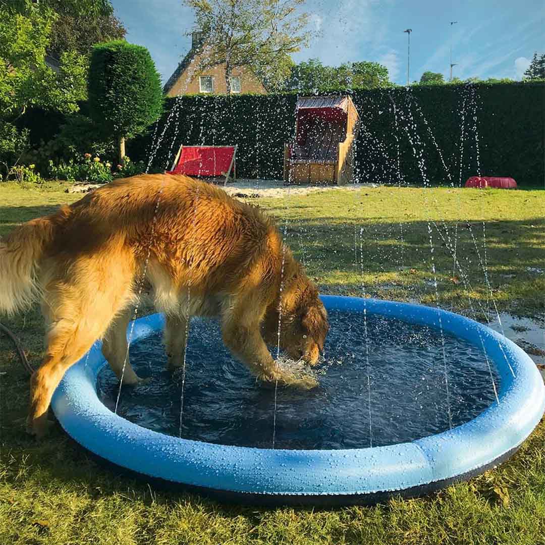 WuffSplash Wasserspielmatte - Der erfrischende Spaß für Deinen Hund