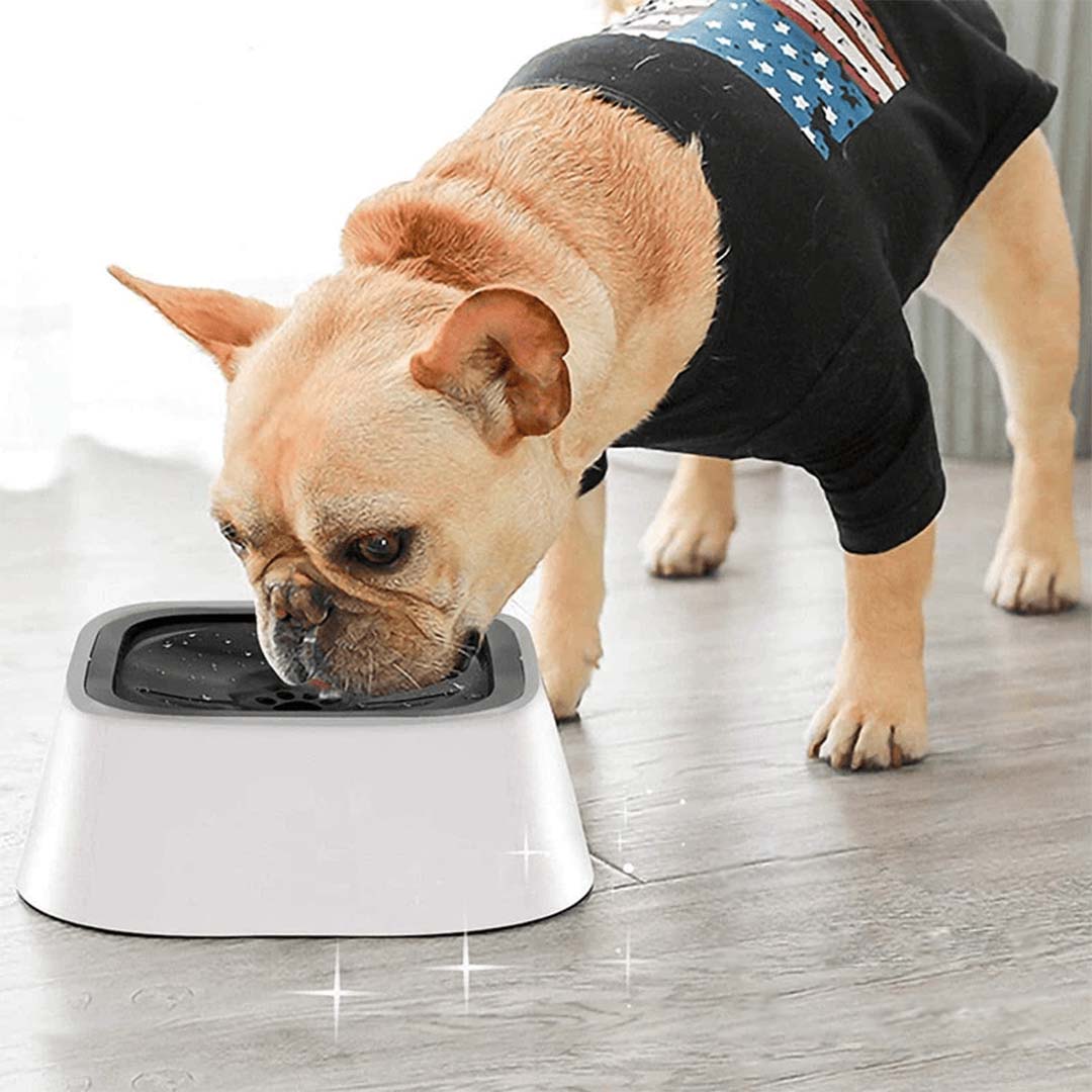 Kleckerdog - Innovativer Hundenapf verhindert Kleckern und Ausrutschen