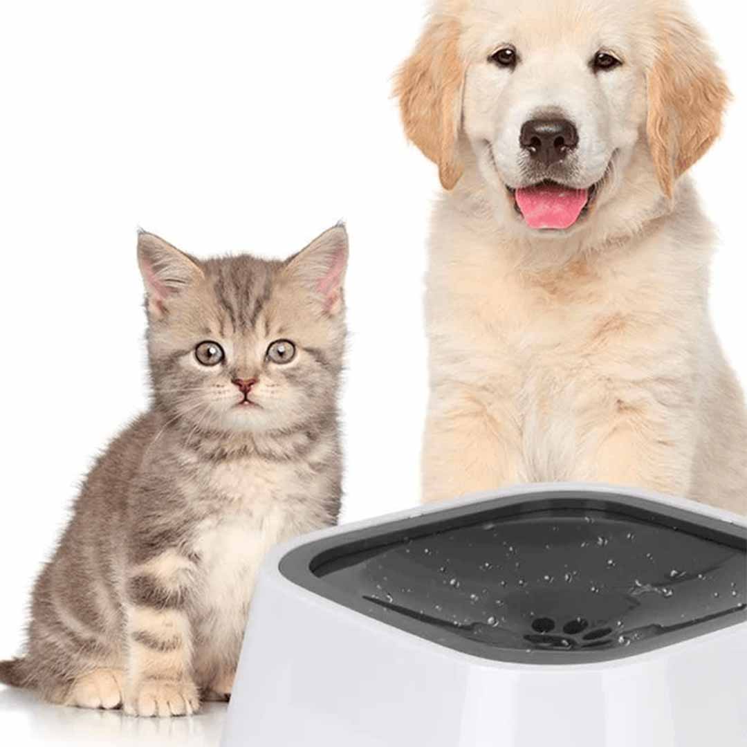 Kleckerdog - Innovativer Hundenapf verhindert Kleckern und Ausrutschen