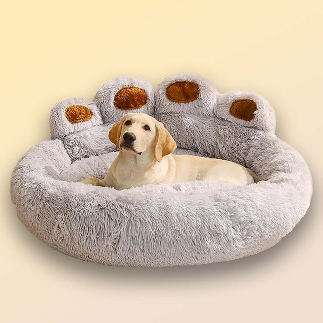 Kuschelbett - Der cozy Rückzugsort für kuschelbedürftige Haustiere